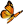 decoImg