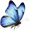 decoImg